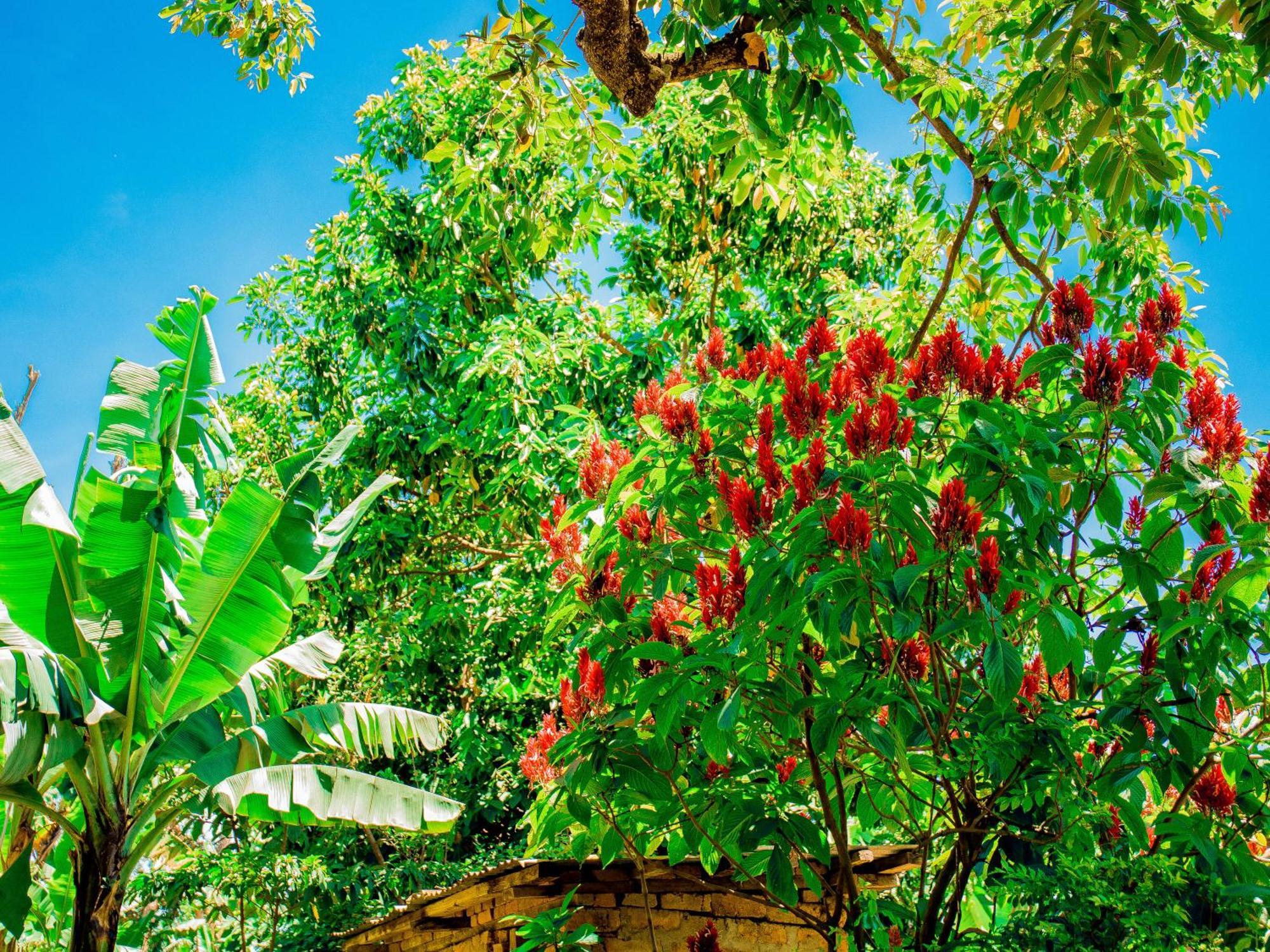 Arusha Jua Home Exterior photo